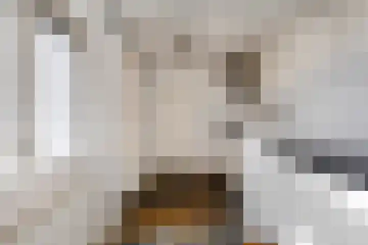 Verlengde Bonedijkestraat 330 Vlissingen thumbnail 10