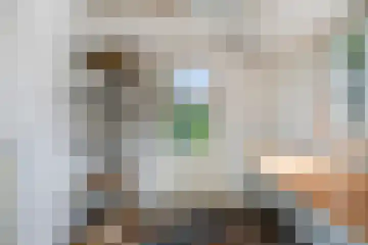 Verlengde Bonedijkestraat 330 Vlissingen thumbnail 23