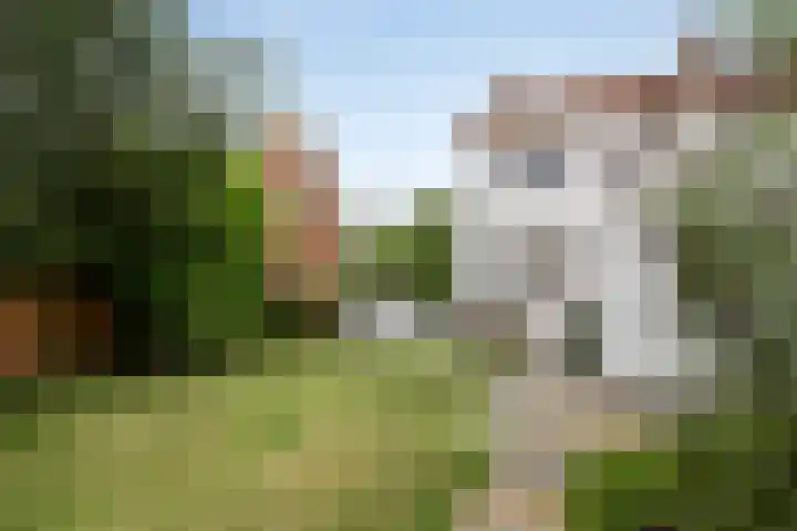 Verlengde Bonedijkestraat 330 Vlissingen thumbnail 25
