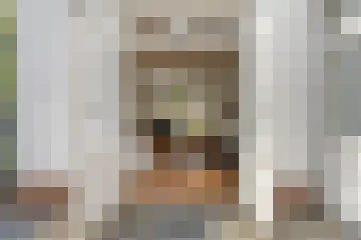 Verlengde Bonedijkestraat 330 Vlissingen thumbnail 7