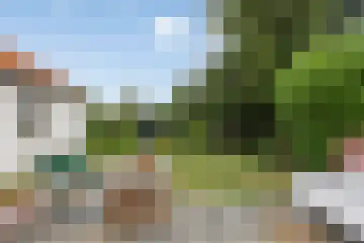 Verlengde Bonedijkestraat 330 Vlissingen thumbnail 8