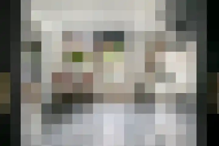 Verlengde Bredestraat 17 Meteren thumbnail 11