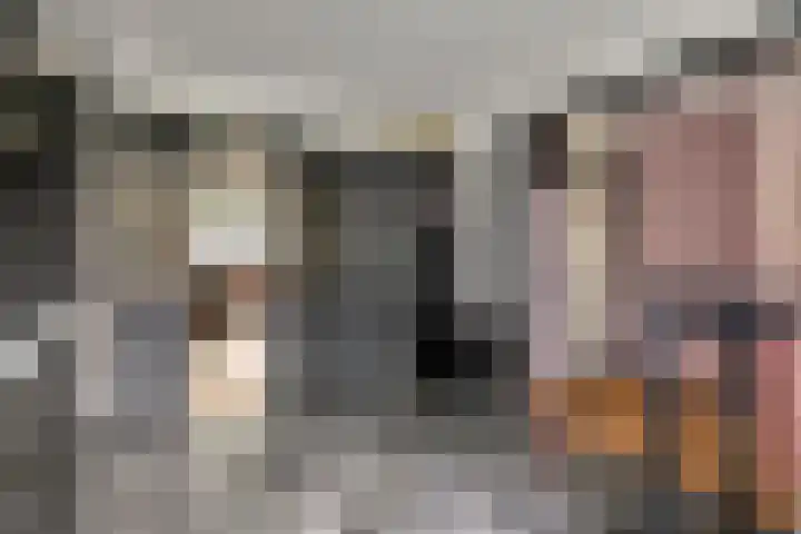 Verlengde Bredestraat 17 Meteren thumbnail 17