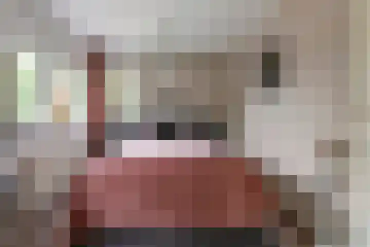 Verlengde Bredestraat 17 Meteren thumbnail 20