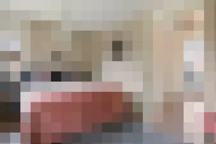 Verlengde Bredestraat 17 Meteren thumbnail 22