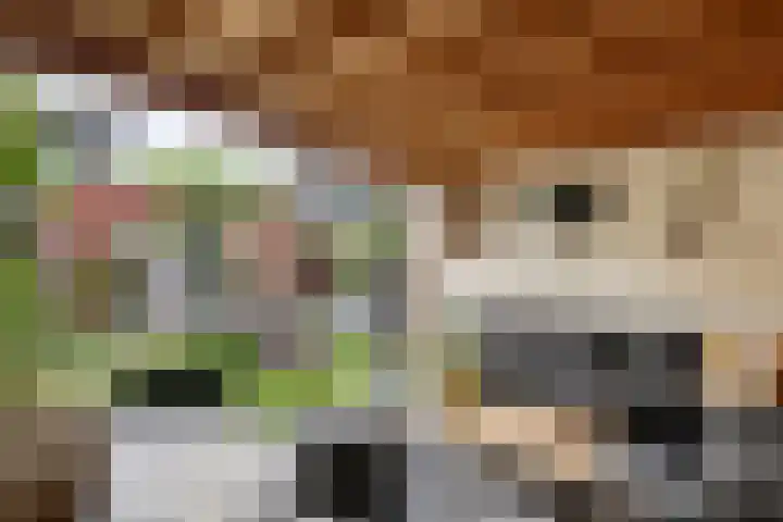 Verlengde Bredestraat 17 Meteren thumbnail 32