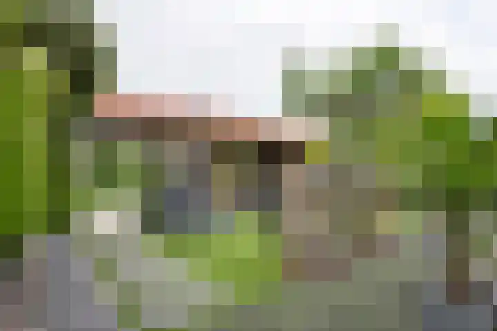 Verlengde Bredestraat 17 Meteren thumbnail 35