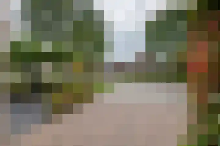 Verlengde Bredestraat 17 Meteren thumbnail 37