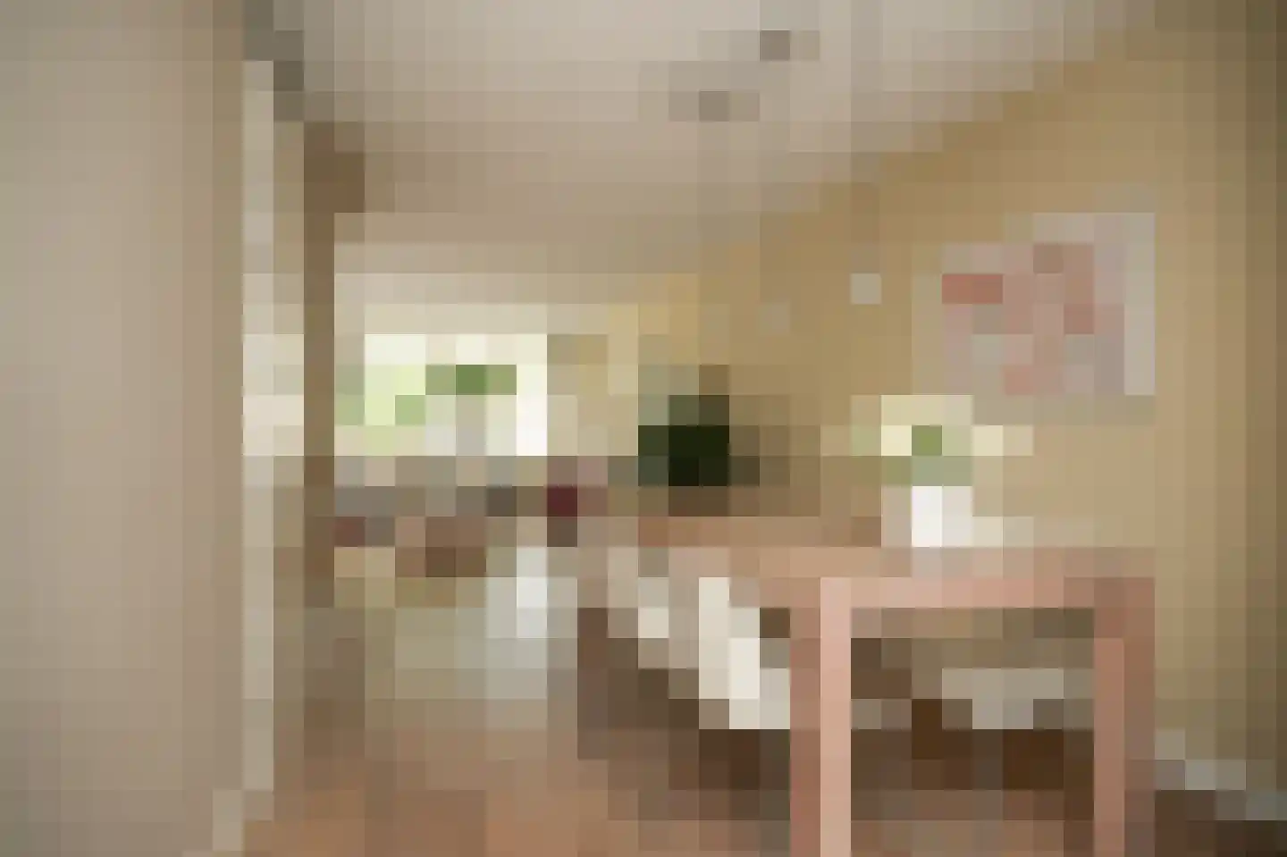 Verlengde Bredestraat 19 Meteren thumbnail 13