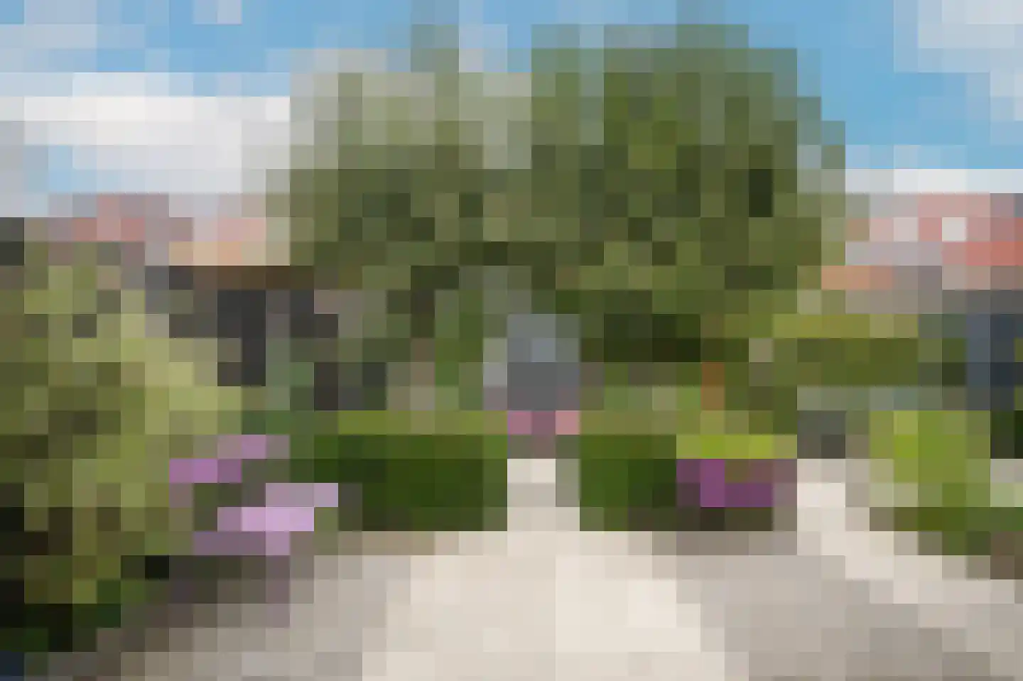 Verlengde Bredestraat 19 Meteren thumbnail 34