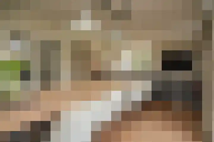 Verlengde Bredestraat 43 Meteren thumbnail 10