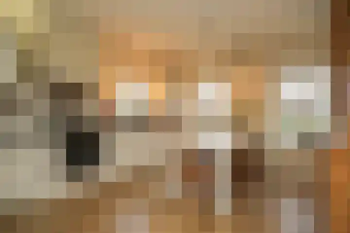 Verlengde Bredestraat 43 Meteren thumbnail 18