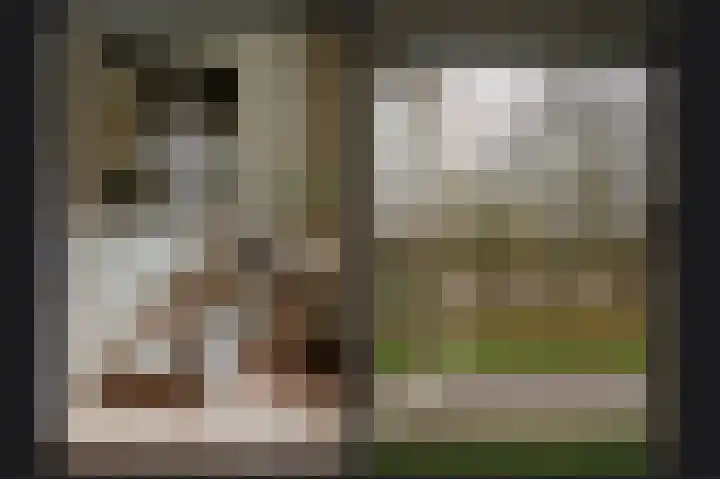 Verlengde Bredestraat 43 Meteren thumbnail 39