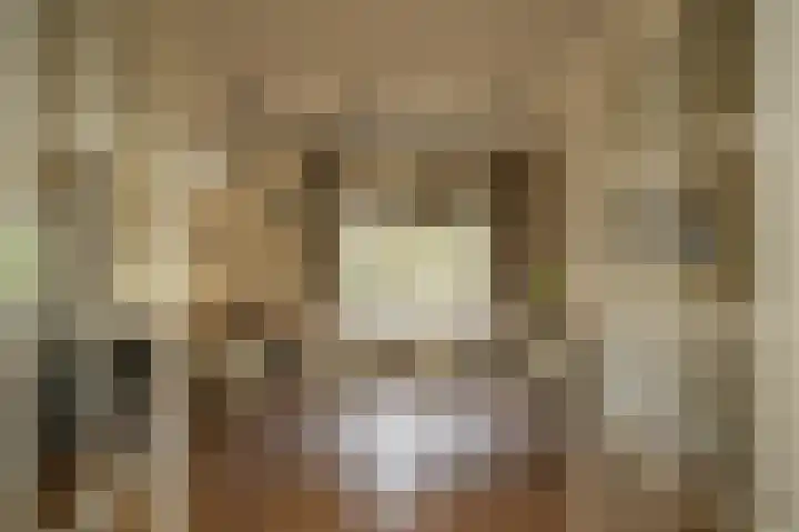 Verlengde Bredestraat 43 Meteren thumbnail 5