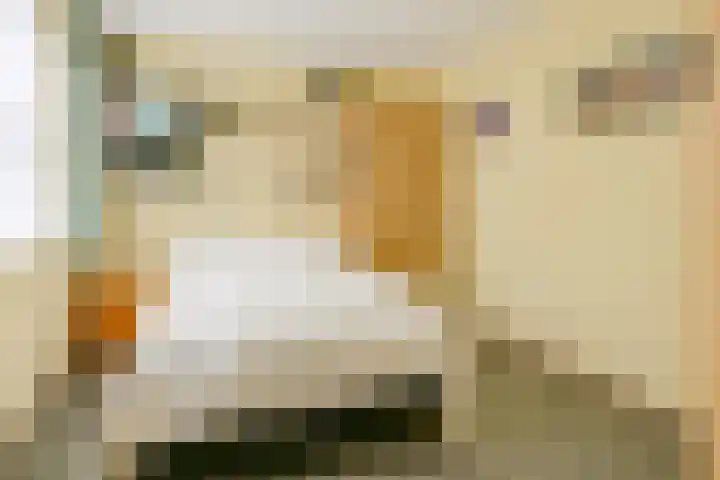 Verlengde Breestraat 12 Middenmeer thumbnail 31