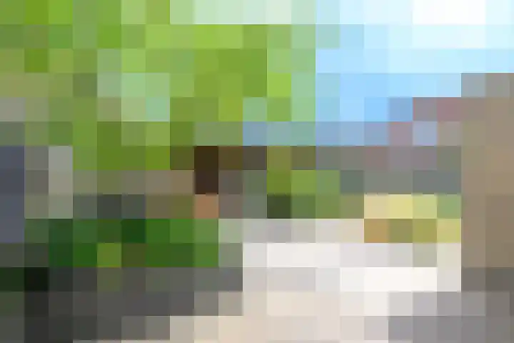 Verlengde Breestraat 12 Middenmeer thumbnail 4