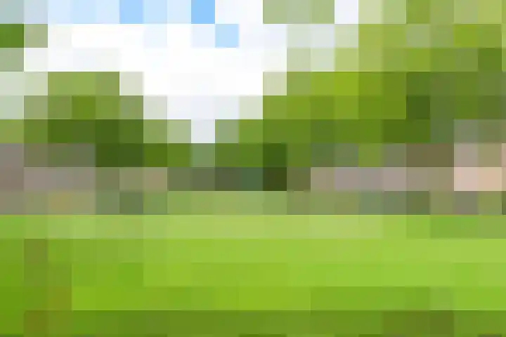 Verlengde Breestraat 12 Middenmeer thumbnail 6