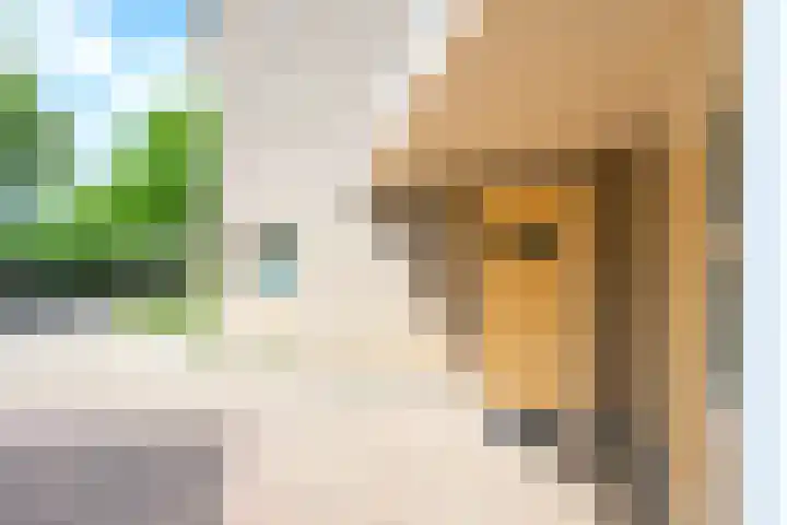 Verlengde Breestraat 12 Middenmeer thumbnail 7