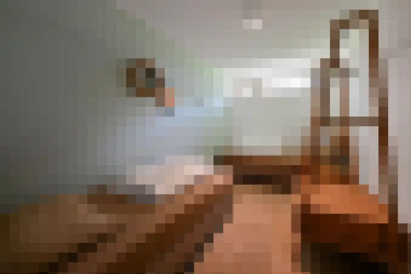 Verlengde Breevaart 3 145 Reeuwijk thumbnail 20
