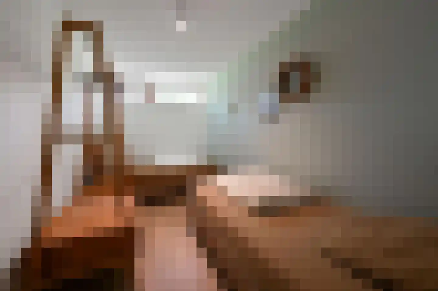 Verlengde Breevaart 3 145 Reeuwijk thumbnail 22