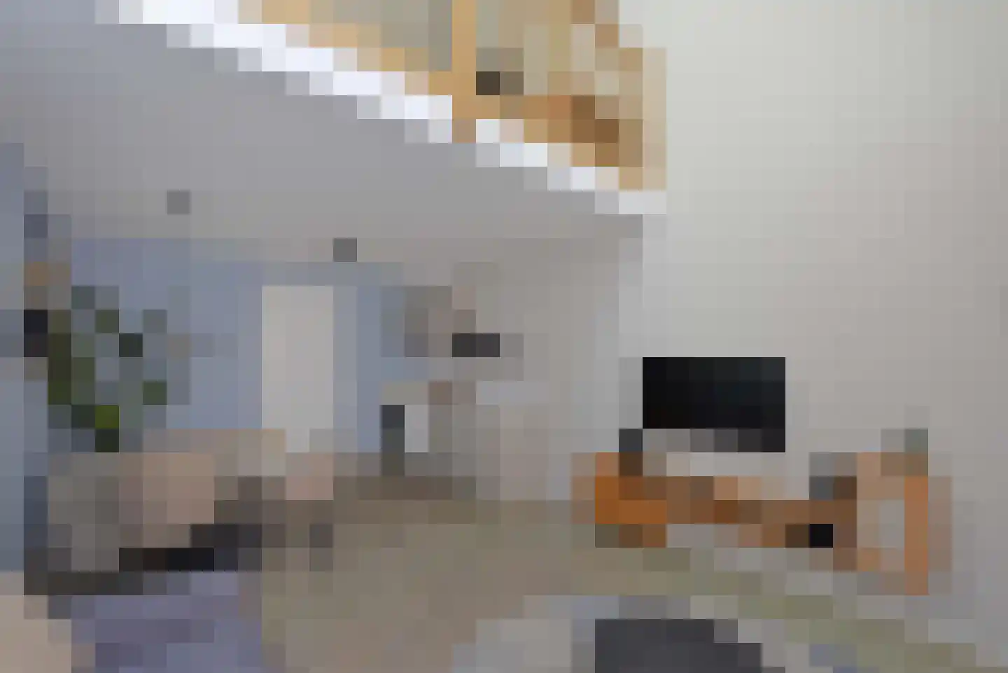 Verlengde Breevaart 3 16 Reeuwijk thumbnail 8