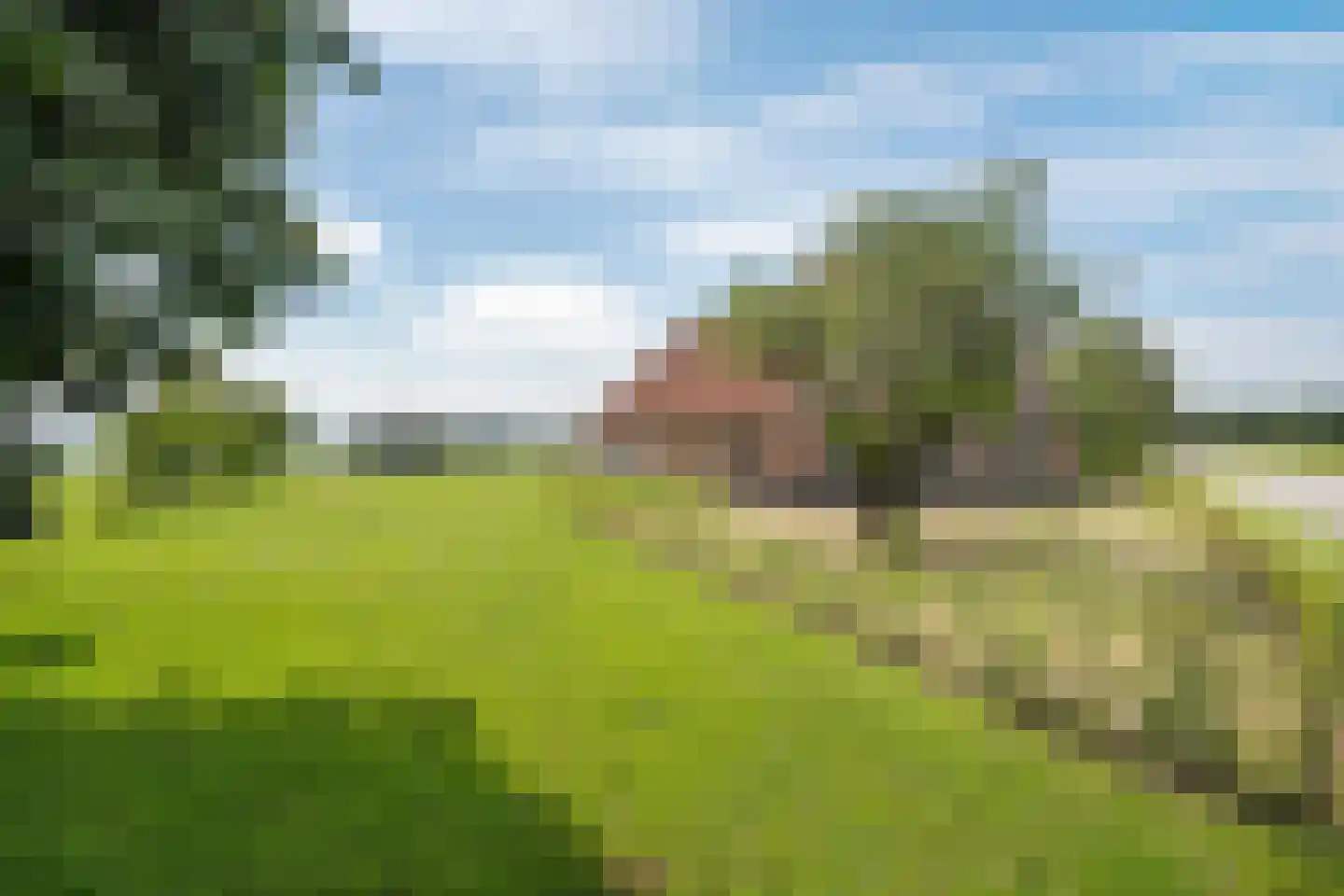 Verlengde Broekdijk 21 Kloosterhaar thumbnail 11