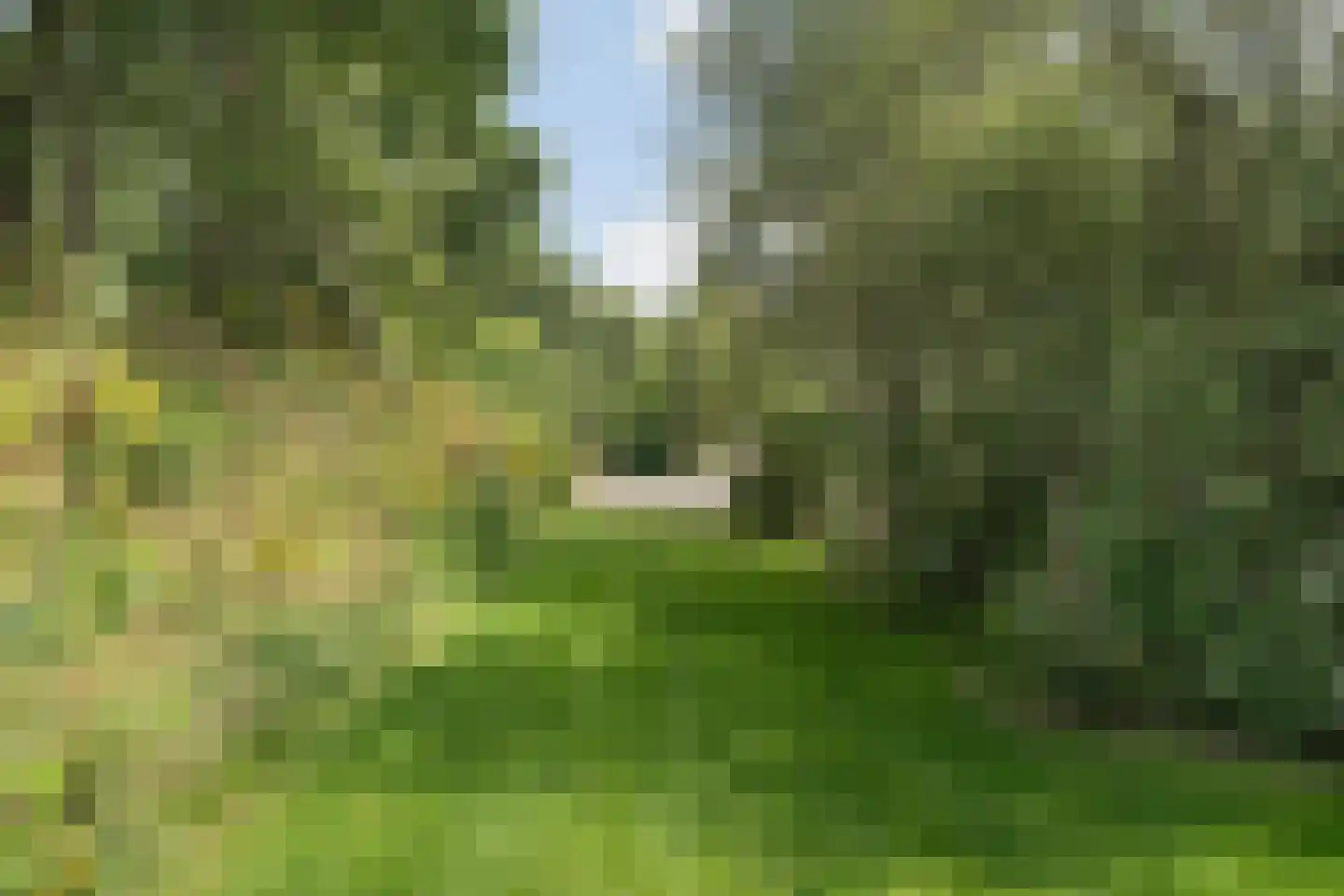 Verlengde Broekdijk 21 Kloosterhaar thumbnail 40