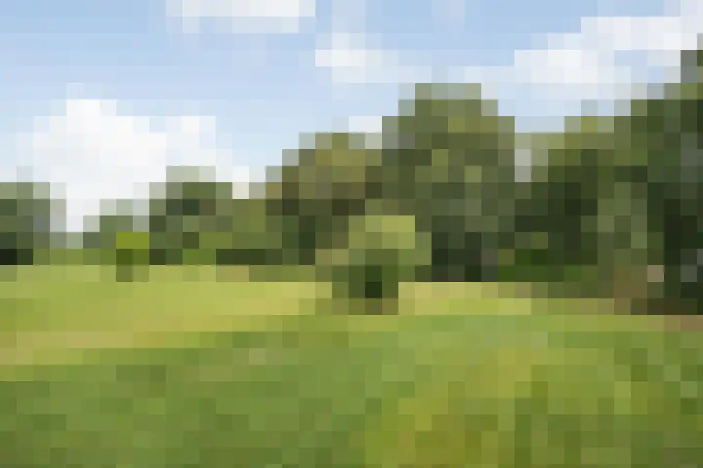 Verlengde Broekdijk 21 Kloosterhaar thumbnail 54