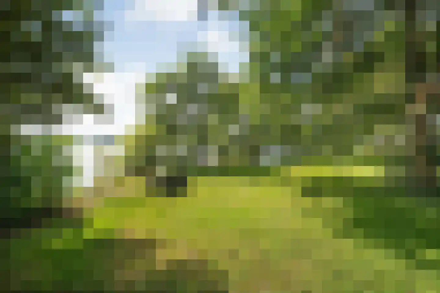 Verlengde Broekdijk 21 Kloosterhaar thumbnail 57