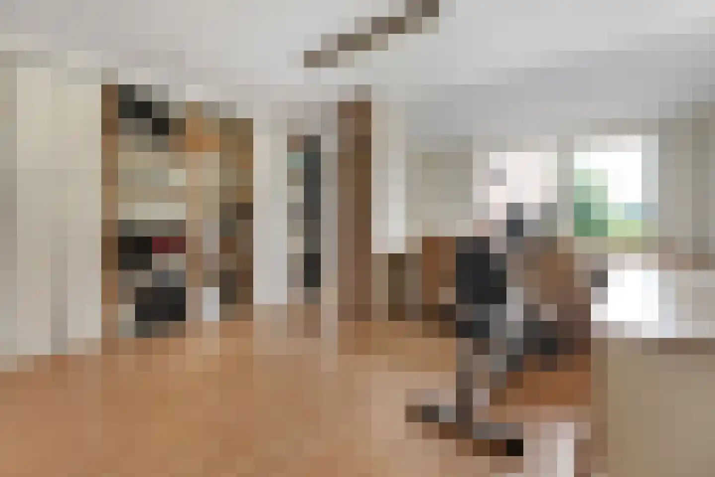 Verlengde Broekdijk 21 Kloosterhaar thumbnail 62
