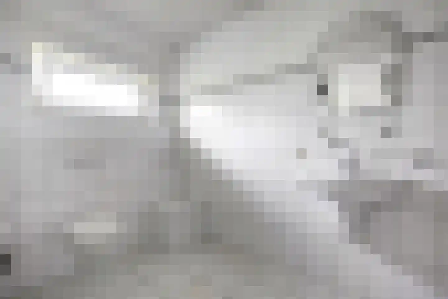 Verlengde Broekdijk 21 Kloosterhaar thumbnail 74