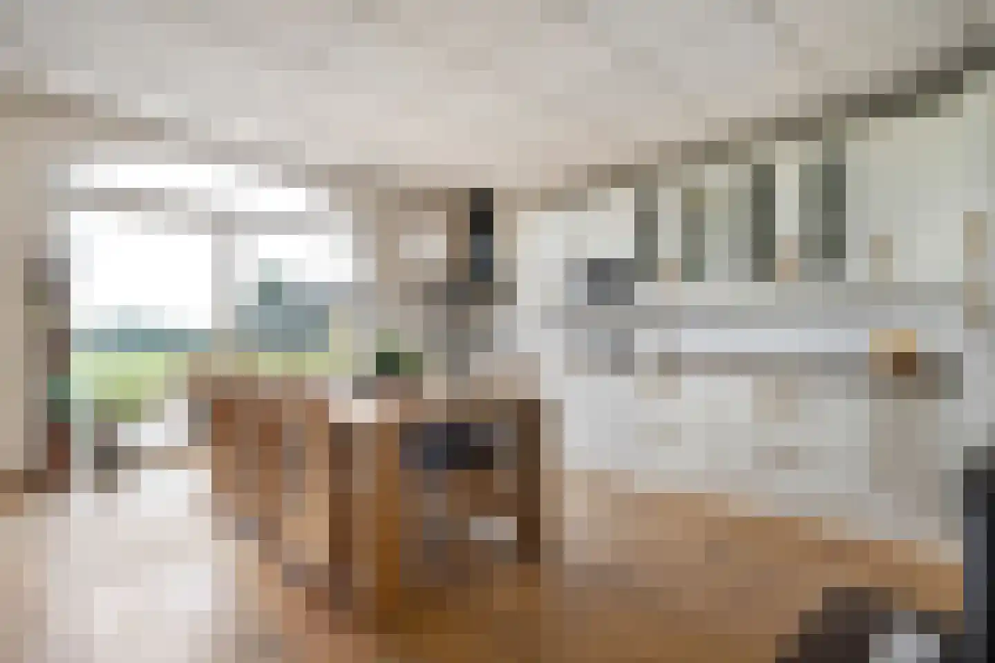 Verlengde Broekdijk 21 Kloosterhaar thumbnail 85