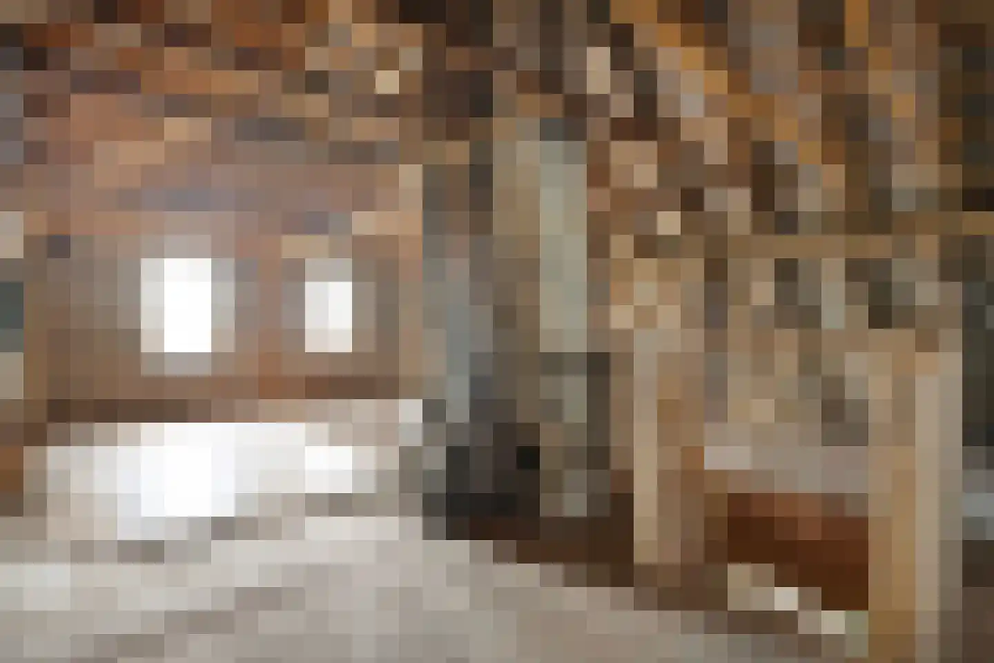 Verlengde Broekdijk 21 Kloosterhaar thumbnail 99