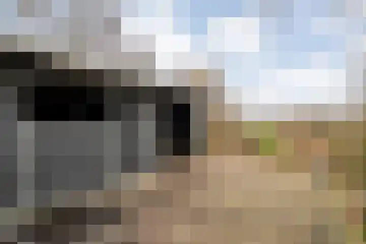 Verlengde Broekdijk 31 Kloosterhaar thumbnail 23