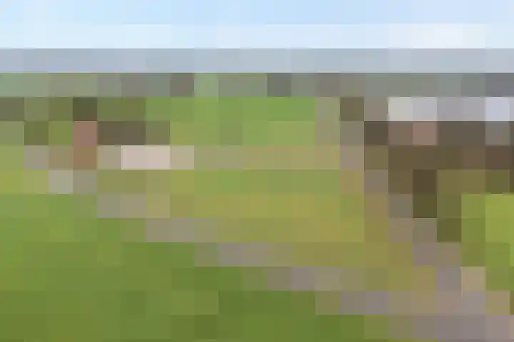 Verlengde Broekdijk 31 Kloosterhaar thumbnail 25
