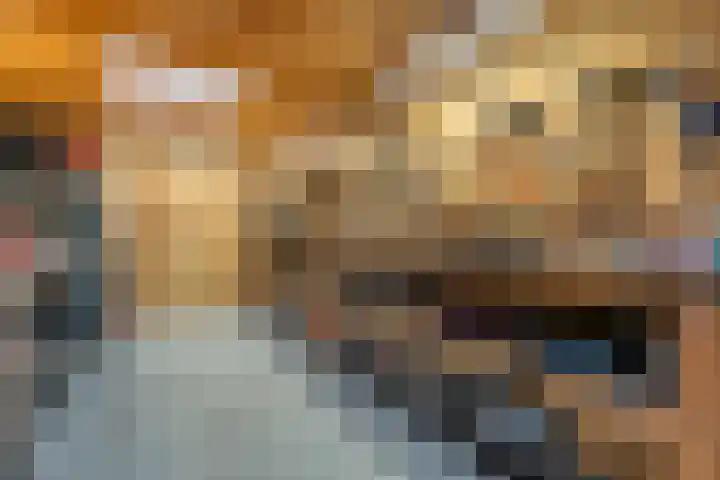 Verlengde Broekdijk 31 Kloosterhaar thumbnail 4