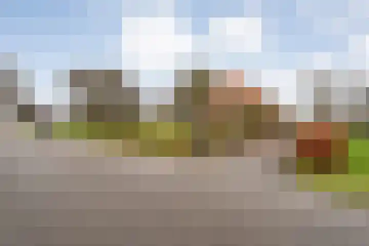 Verlengde Broekdijk 31 Kloosterhaar thumbnail 5