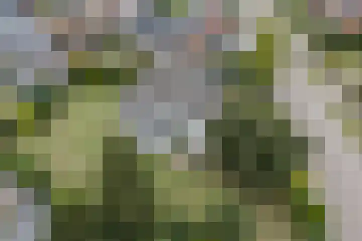 Verlengde Duinstraat 36 Hoogerheide thumbnail 41