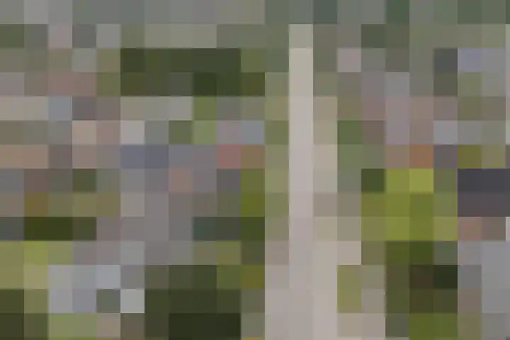 Verlengde Duinstraat 36 Hoogerheide thumbnail 45