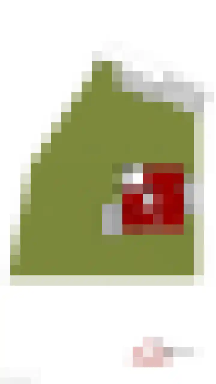 Verlengde Duinstraat 36 Hoogerheide thumbnail 48