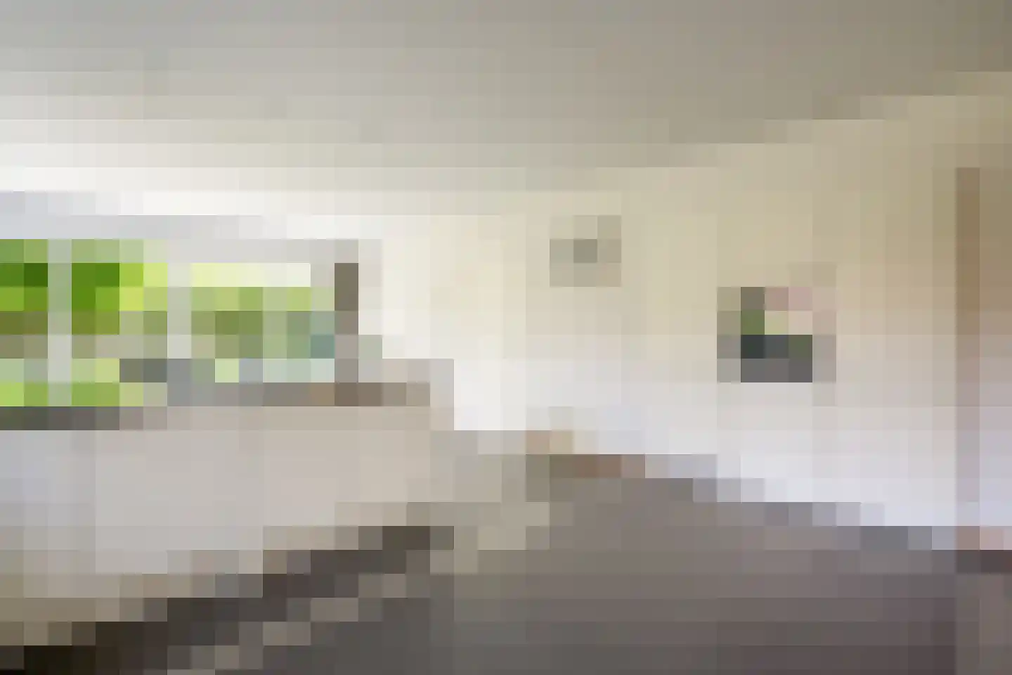 Verlengde Duinstraat 55 Hoogerheide thumbnail 14