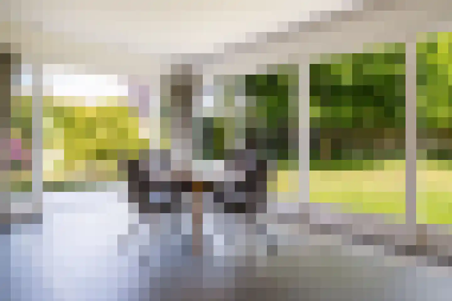 Verlengde Duinstraat 55 Hoogerheide thumbnail 15