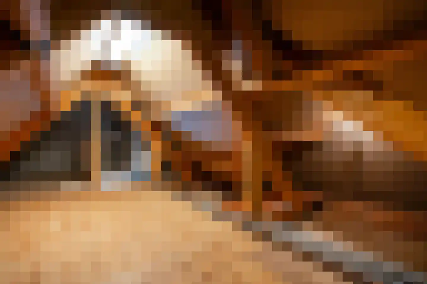 Verlengde Duinstraat 55 Hoogerheide thumbnail 41