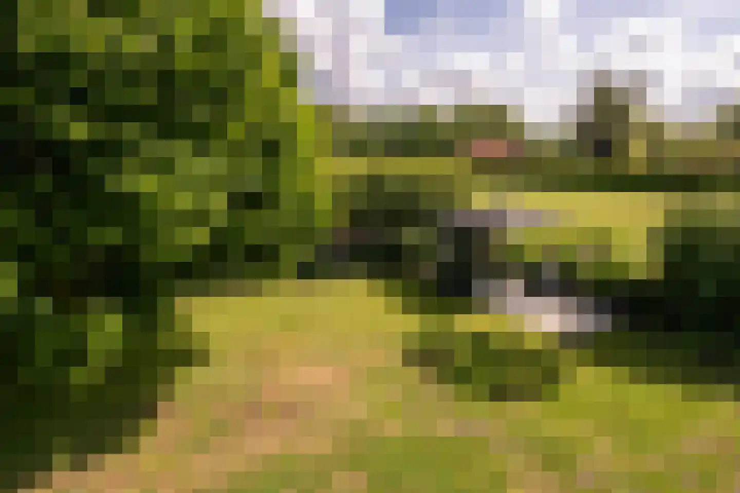 Verlengde Duinstraat 55 Hoogerheide thumbnail 46