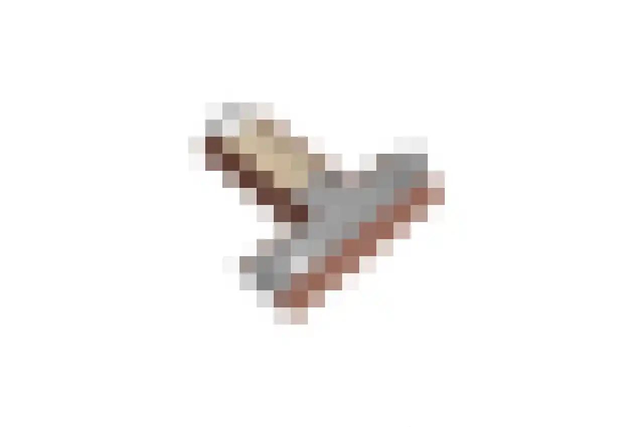 Verlengde Duinstraat 55 Hoogerheide thumbnail 64