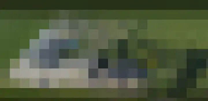 Verlengde Elfde Wijk 16 Dedemsvaart