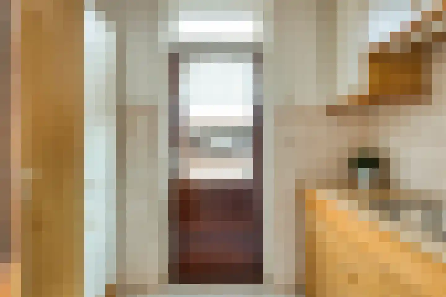 Verlengde Emmastraat 32 a Andelst thumbnail 23
