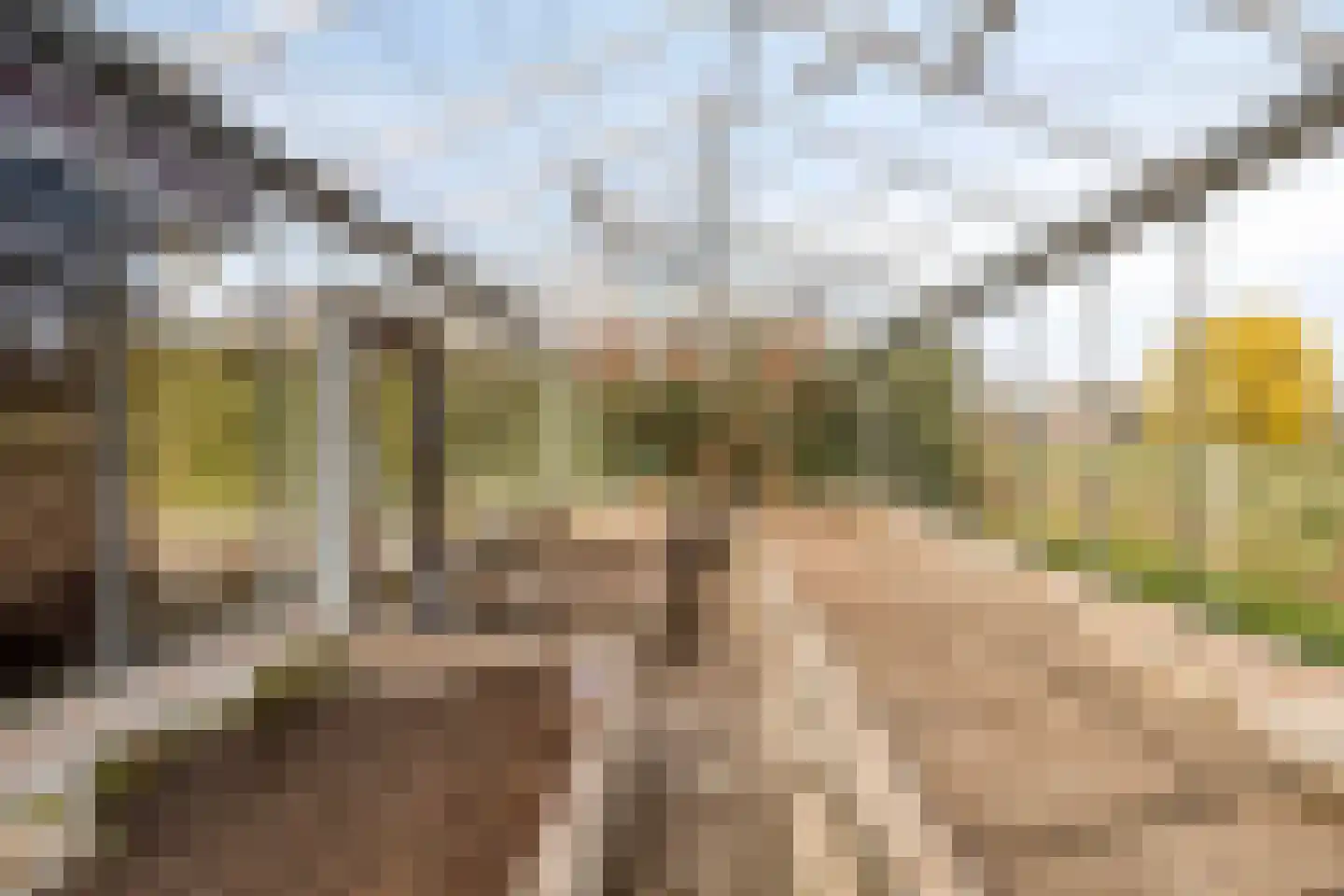 Verlengde Emmastraat 32 a Andelst thumbnail 48