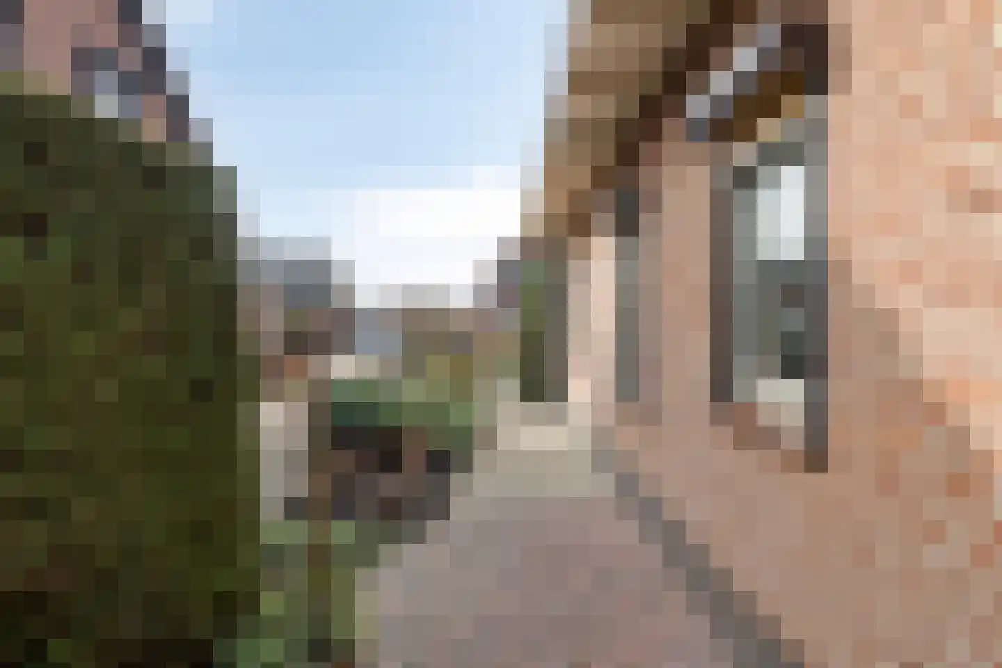 Verlengde Emmastraat 32 a Andelst thumbnail 50