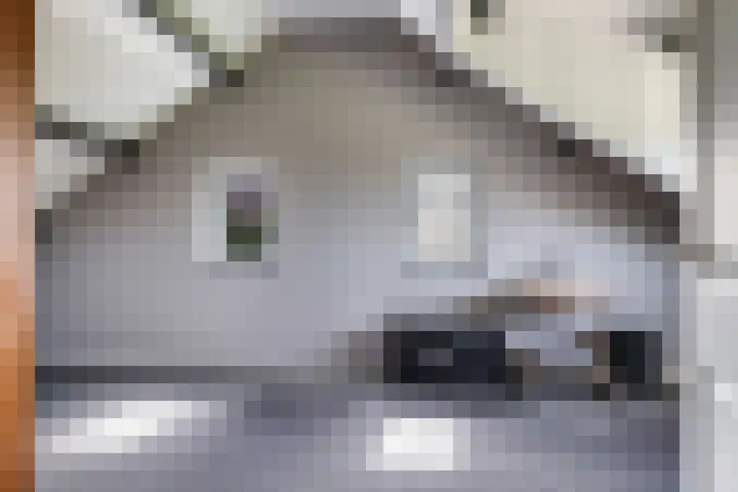 Verlengde Emmastraat 35 Andelst thumbnail 33